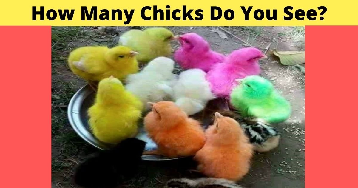 how many chicks do you see.jpg?resize=412,275 - Can You Count All Of The Chicks Hiding In This Photo?