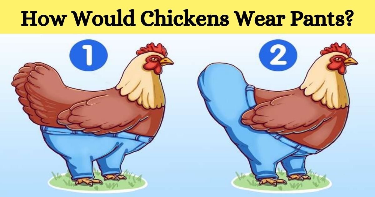 how would chickens wear pants.jpg?resize=1200,630 - If Chickens Had To Wear Pants, How Would They Wear Them?