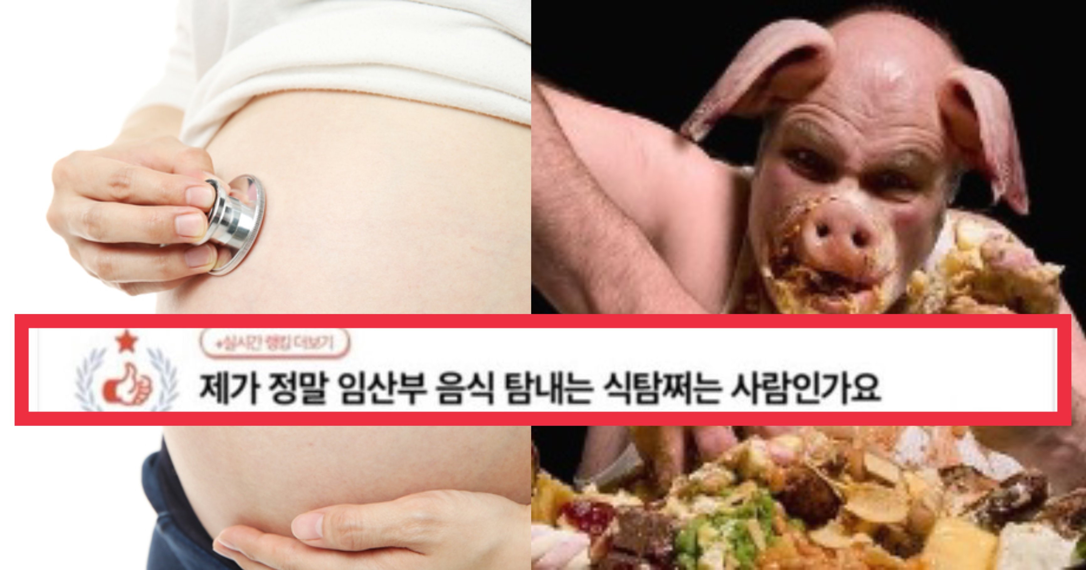 img 836462f3b7bd 1.jpeg?fit=1024%2C538&ssl=1&strip=all - "제가 임산부 음식이나 탐내는 식탐쩌는 사람인가요?"