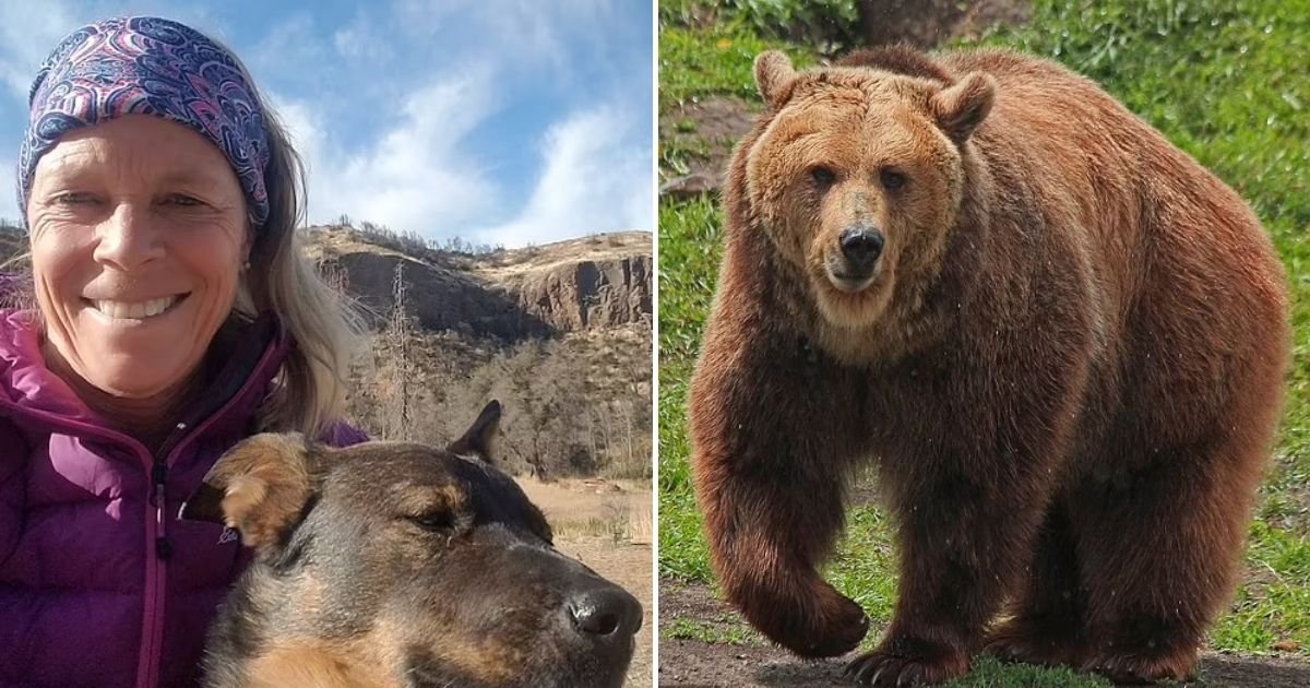 lokan5.jpg?resize=1200,630 - 65-Year-Old Woman Is Dragged By A 400-Pound Grizzly Bear While She Was Sleeping