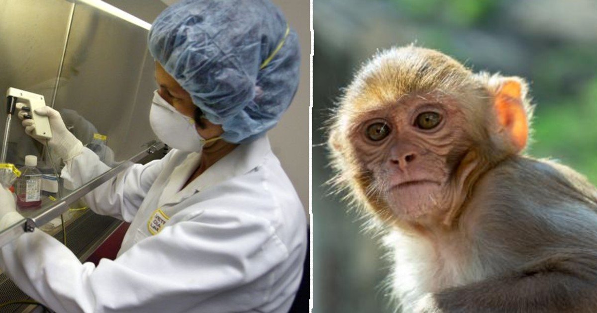 monkeypox thumbnail.jpg?resize=412,232 - Over 200 People Being Tracked For Possible Monkeypox Outbreak Across 27 US States