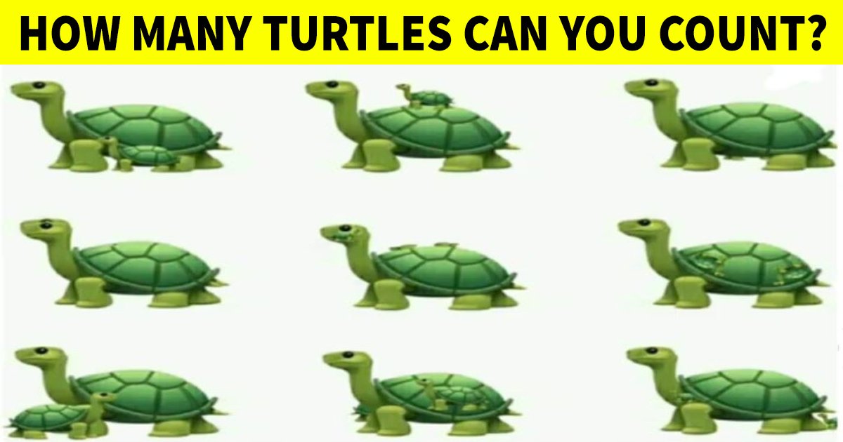 q2 31.jpg?resize=1200,630 - How Quick Can You Count The Number Of Turtles In This Tricky Graphic?