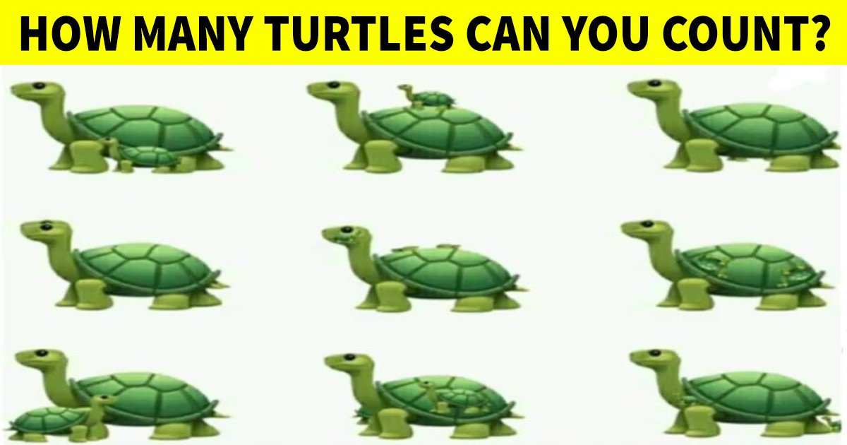 q2 31.jpg?resize=412,275 - How Quick Can You Count The Number Of Turtles In This Tricky Graphic?