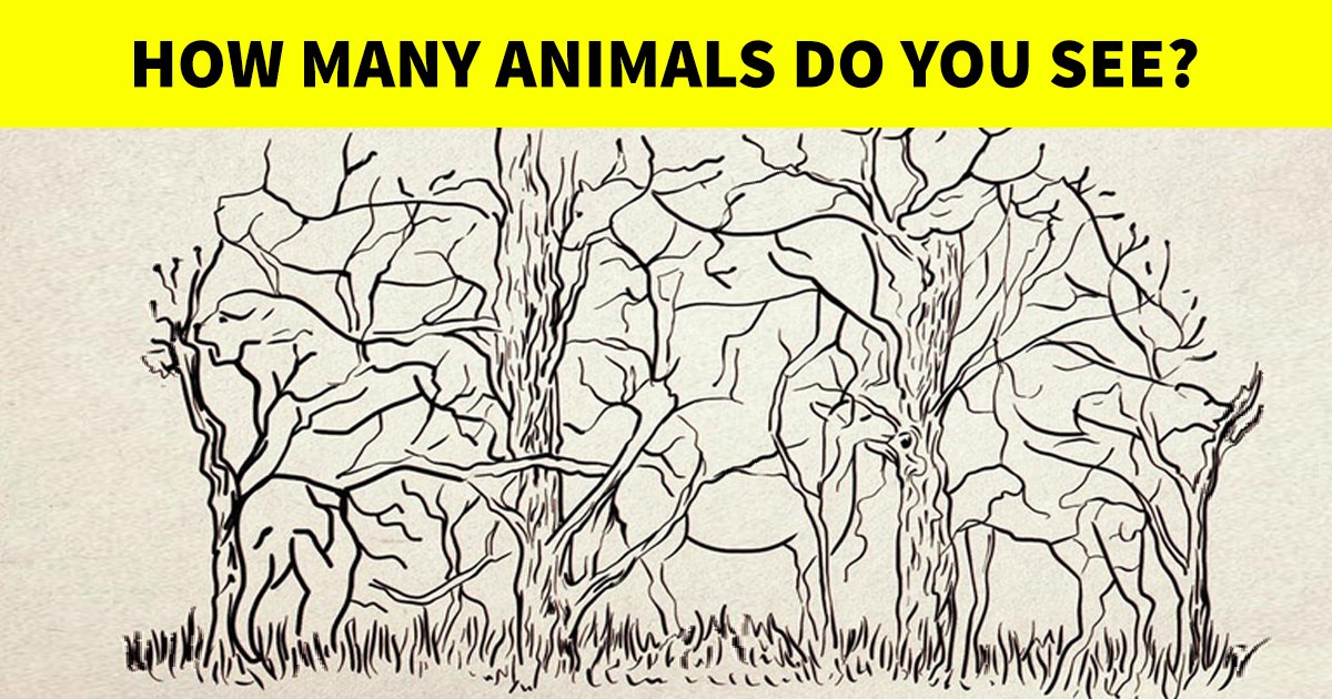 q4 26.jpg?resize=1200,630 - Can You Spot All The Animals Hidden In This Optical Illusion?