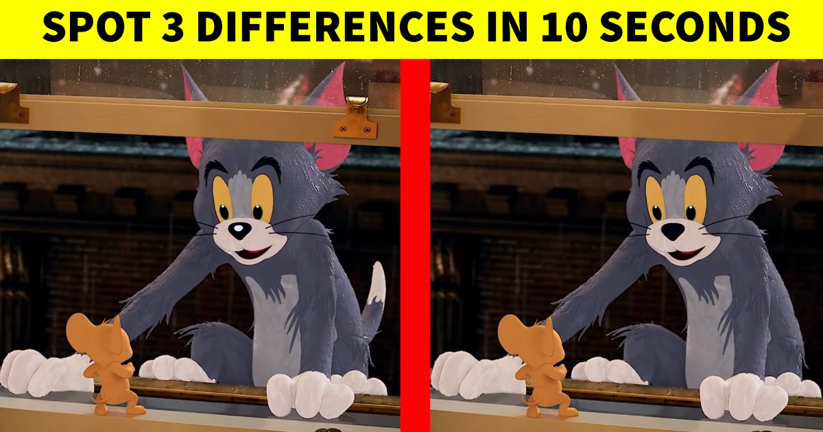 q4 50.jpg?fit=1024%2C538&ssl=1&strip=all - Are You Observant Enough To Figure Out The Differences?