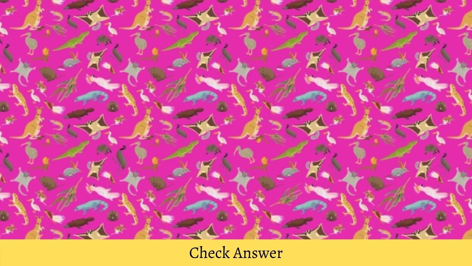 small joys thumbnail 4 3.jpg?resize=412,275 - VISUAL TEST: Can You Spot The KOALA In Less Than A Minute?