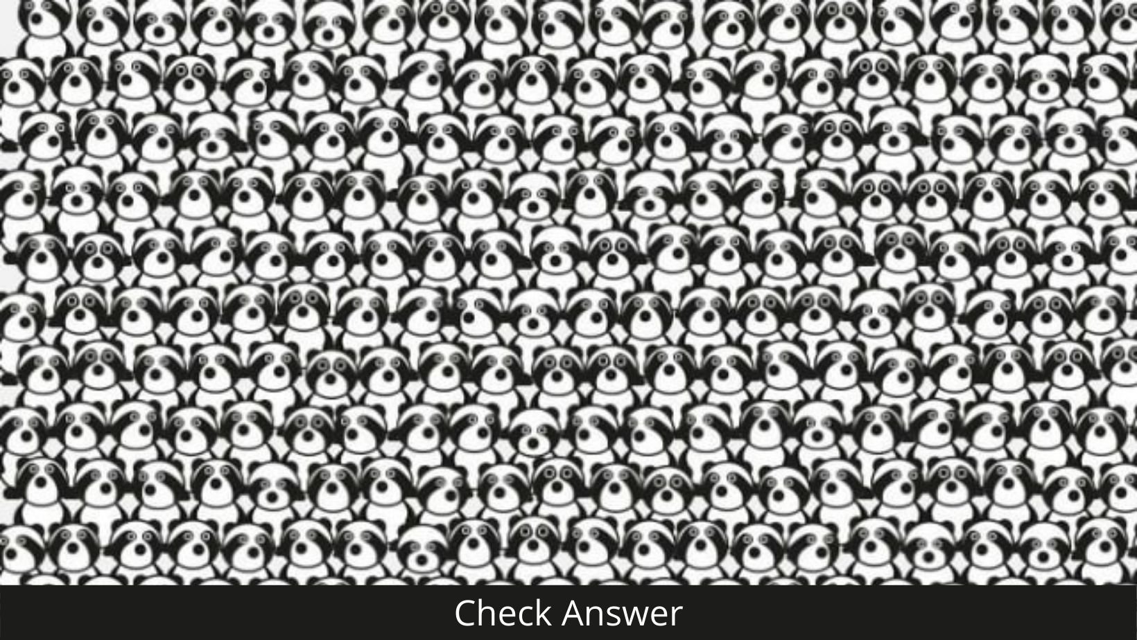 small joys thumbnail 6.jpg?resize=1200,630 - There's A Panda Hiding In These Adorable Raccoons! Can You SPOT It?