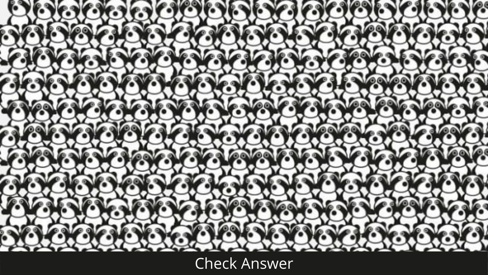 small joys thumbnail 6.jpg?resize=412,232 - There's A Panda Hiding In These Adorable Raccoons! Can You SPOT It?