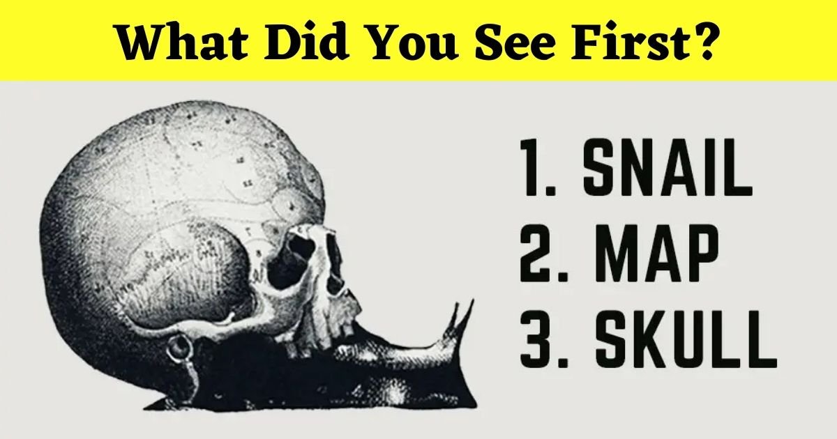 what did you see first.jpg?resize=412,232 - Did You See The Skull, The Snail, Or The Map First?