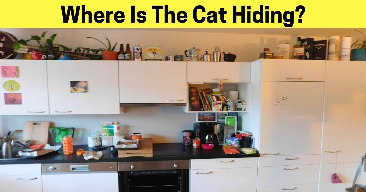 where is the cat hiding.jpg?resize=412,275 - Only 1% Of People Could Spot The Hidden Cat In This Picture! Can You See It?