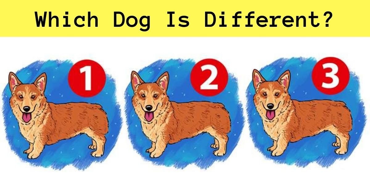 which dog is different.jpg?resize=412,275 - 90% Of People Couldn’t Spot The Difference Here! Can You Find It?