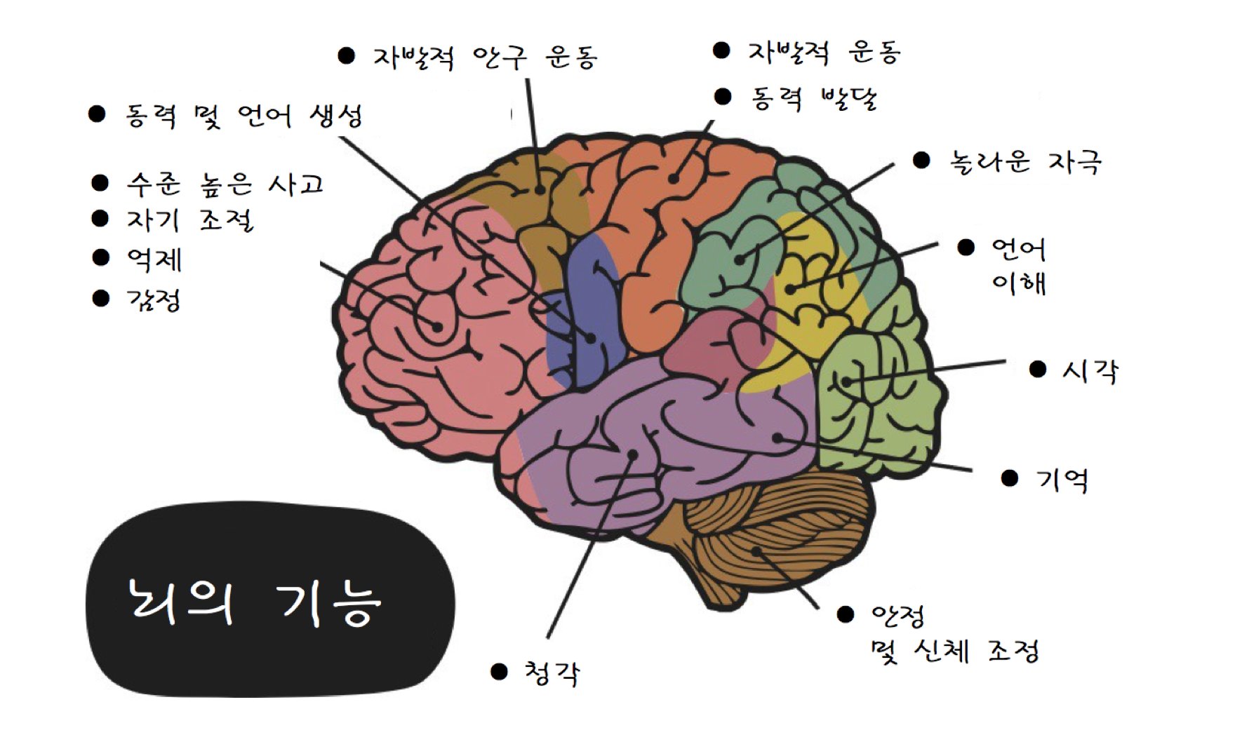 번역] 우리 뇌는 컴퓨터와 얼마나 다른지!. ..를 뇌 신경 가소성 측면에서 살펴보았다. | by 이영규 | Medium
