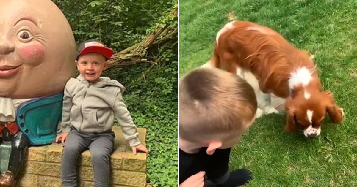 butterfly4.jpg?resize=412,275 - 3-Year-Old Boy Releases Butterfly He Raised For Weeks, But Only Seconds Later His Dog Catches And Swallows It Whole
