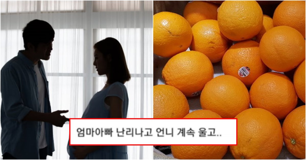 collage 121.png?resize=412,232 - "아니 솔직히 내가 임신했는데 새벽에 남편 깨워서 귤 사달라는게 잘못한거야?? 읽어봐"