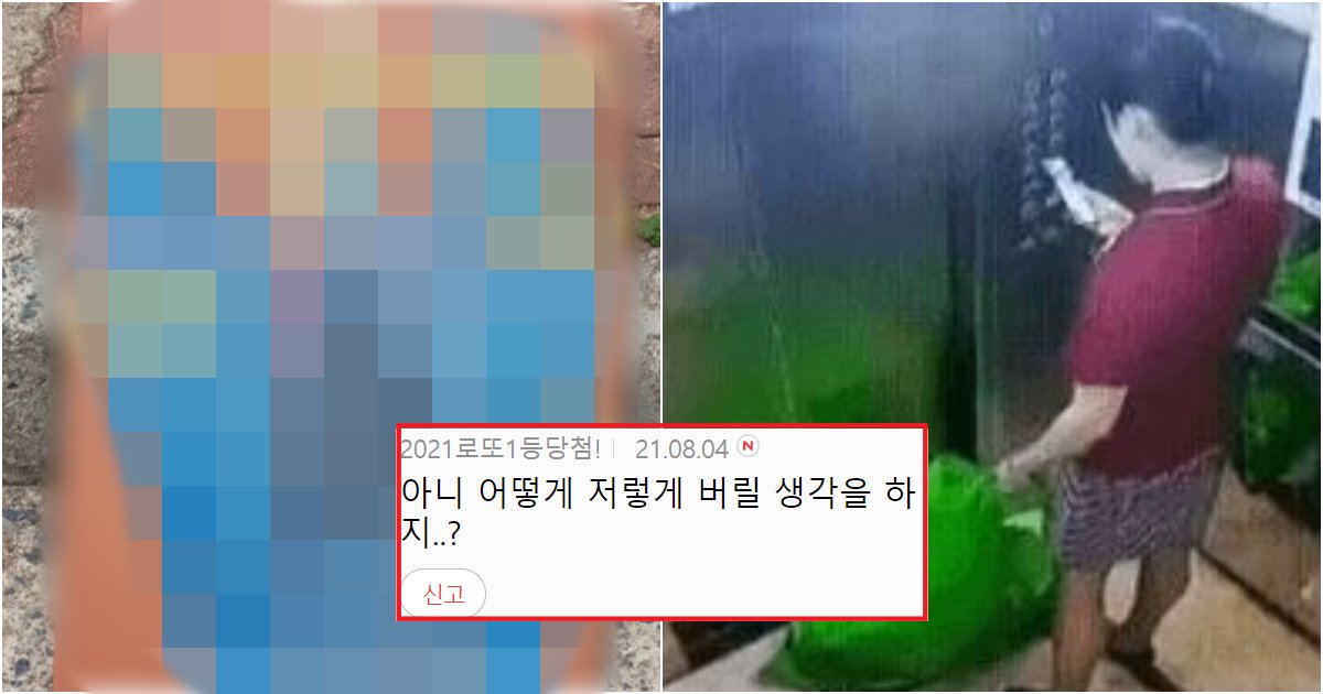 collage 143.png?resize=412,275 - 실시간 사람들이 돈 아끼려고 '이런 행동'까지 한다는 행동 수준