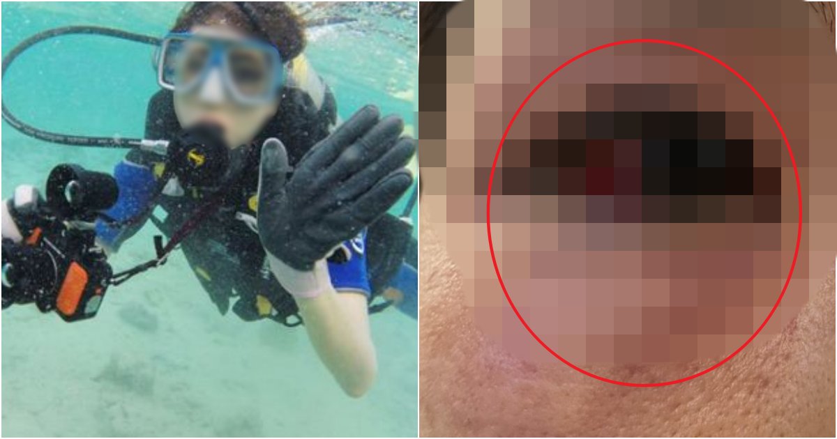 collage 200.png?resize=412,275 - "입수 전 안전교육은 진행 되지 않았다"...제주도 스쿠버다이빙 업체 이용한 후기(사진)