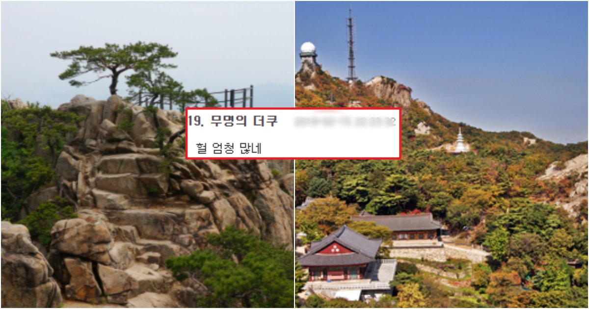 collage 483.png?resize=412,275 - "이 산은 절대 가지 마세요"...주변 사람이 등산한다고 하면 무조건 뜯어 말려야 하는 이유(+사진)