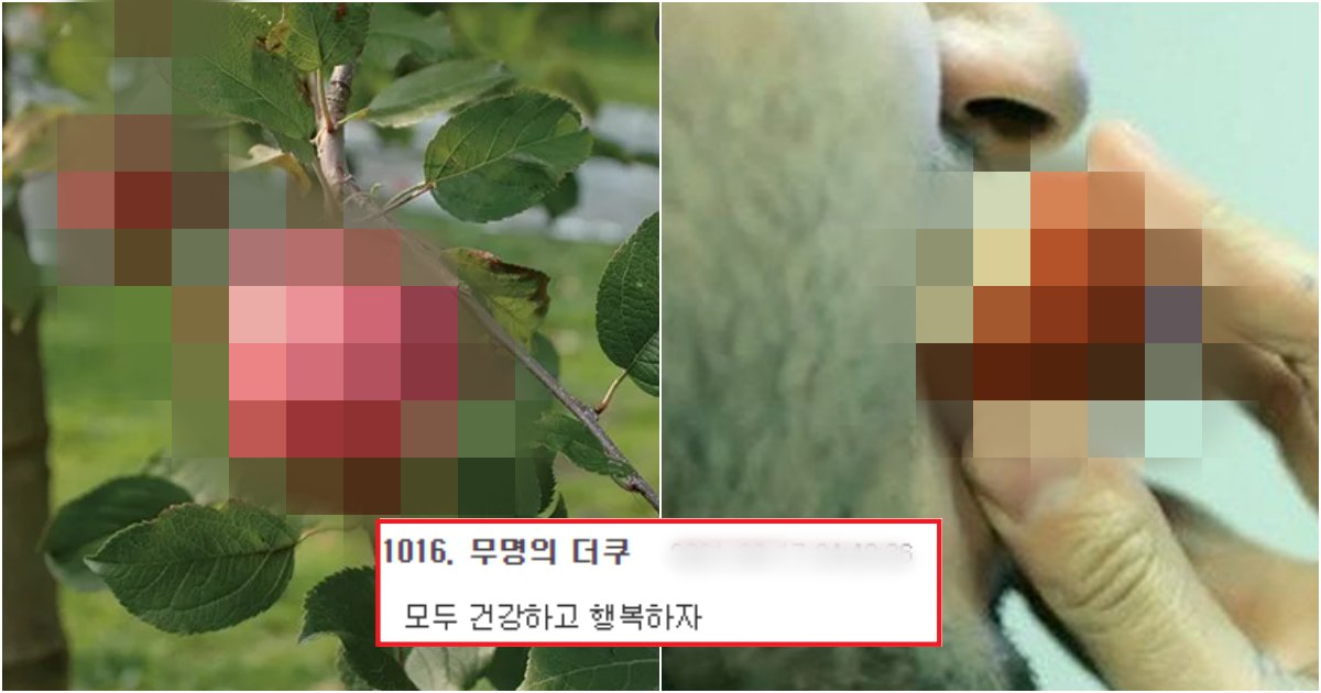 collage 529.png?resize=412,275 - 먹으면 99.7% 확률로, 사망에 이르게 된다는 세계에서 가장 위험한 과일(+사진)