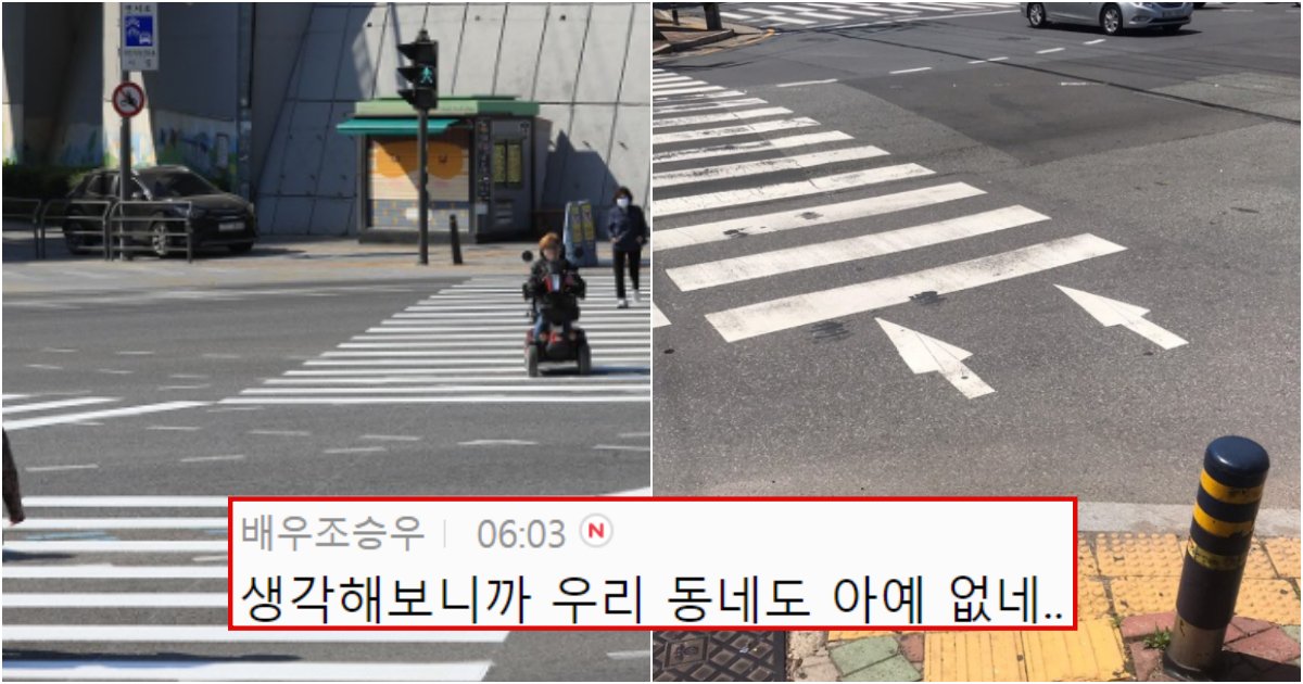 collage 540.png?resize=412,232 - 절대 사라지면 안 되는데 길거리에서 점점 사라져 보이지 않게 된 것