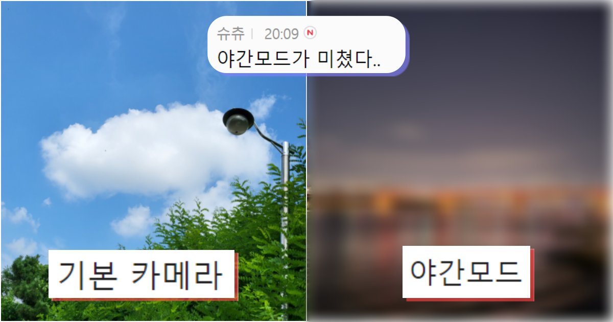 collage 594.png?resize=1200,630 - 진짜 아이폰 존버한 사람들 빡치게 만든 갤럭시 플립3 체험 서비스로 찍어본 풍경+사물 위주 사진