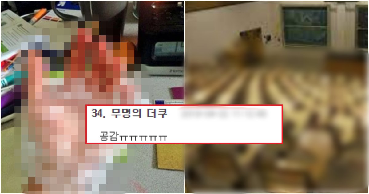 collage 620.png?resize=412,275 - 오른손잡이들은, 절대 모르는 왼손잡이들의 고충 BEST(+사진)