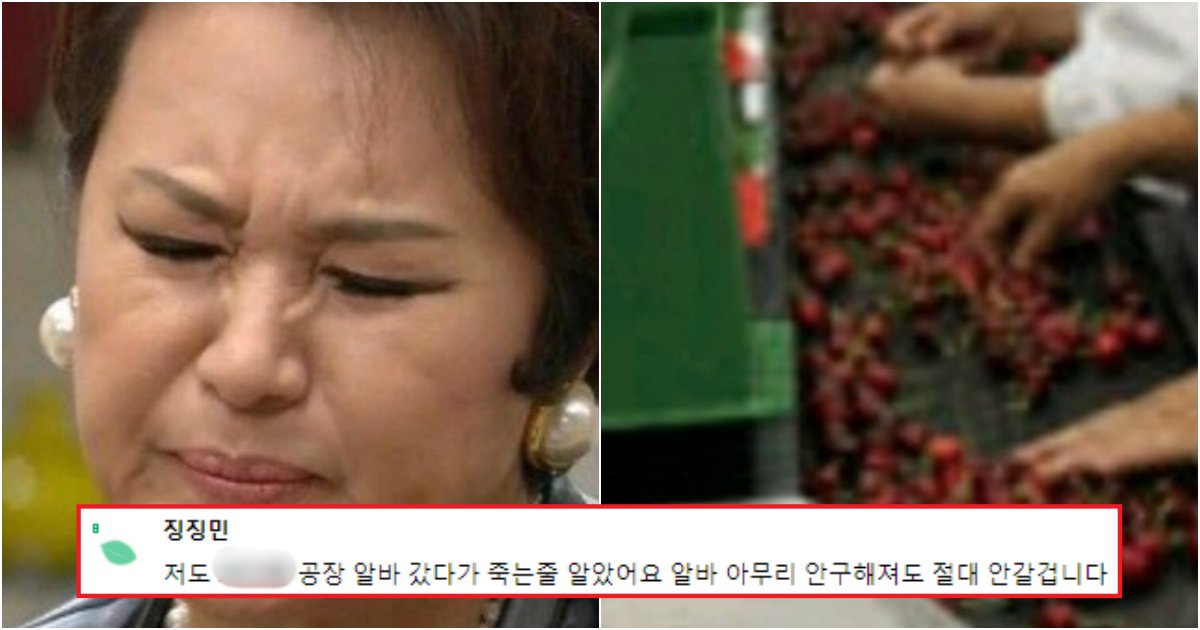 collage 630.png?resize=412,275 - '이 것'.. 공장알바가 쉽다한 사람들에게 알려주는 찐알바 후기(+사진)