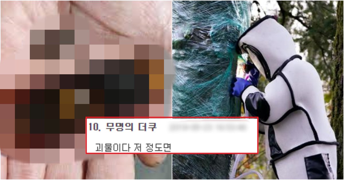 collage 644.png?resize=412,275 - 진짜 바로 앞에서 '장수말벌' 실물 본 사람들이 하나같이 말하는 후기(+사진)