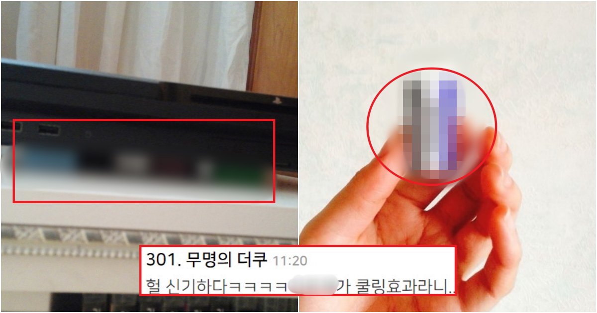 collage 669.png?resize=412,275 - 실시간 노트북 갤러리에서 난리 난 'xxx원'짜리 쿨링 제품(+사진)