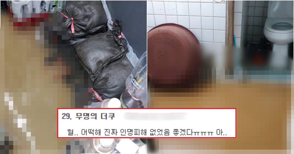 collage 702.png?resize=412,275 - 현 시각, 도시 전체가 '워터파크'로 대참사 난 부산 상황(+사진)