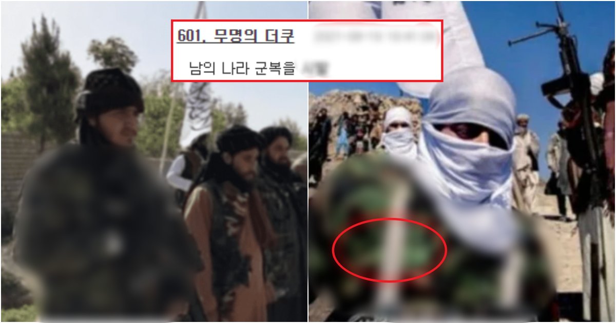 collage 709.png?resize=412,275 - "아니 우리 군복을 탈레반이.."한국 군복 입고 있는 탈레반 모습 (+국방부 입장)