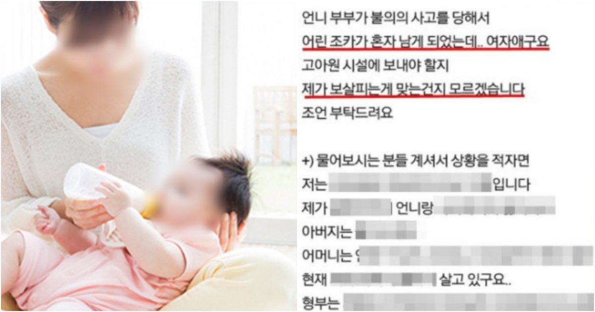 collage 766.png?resize=1200,630 - "제가 지금 20대 중반인데 조카가 고아가 됐거든요.. 제가 키워야하나요?"