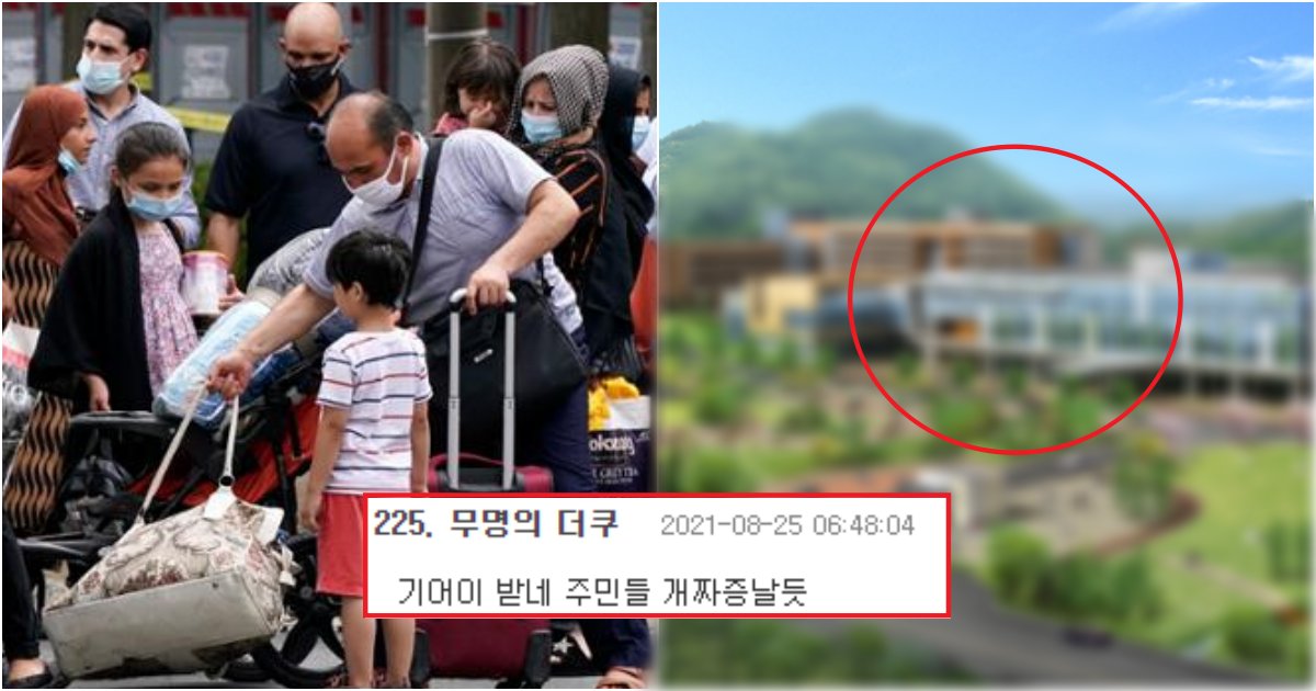 collage 775.png?resize=412,275 - "오늘 아프간 xxx명이 한국에 도착한다" 그들의 정체와 한국에서 머무는 충격적인 지역