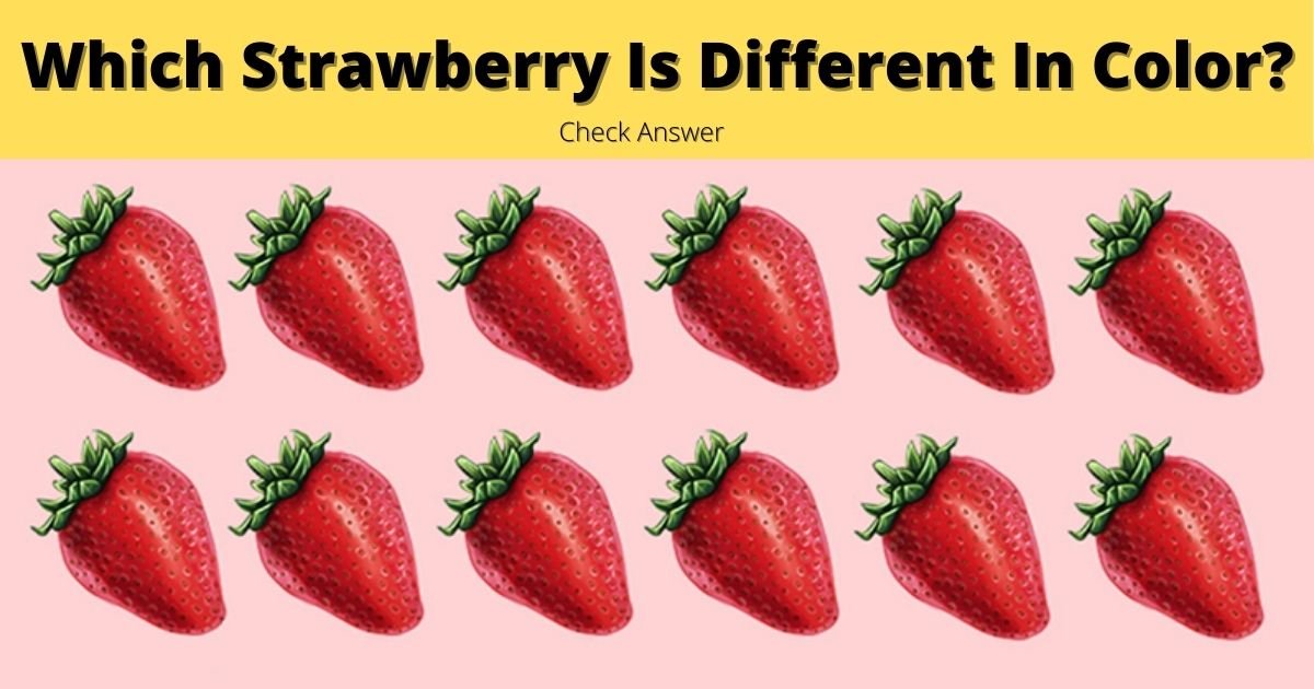cover 8.jpg?resize=1200,630 - Can You Spot Which Strawberry Is DIFFERENT From The Rest?