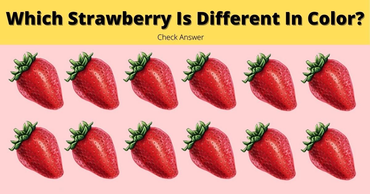 cover 8.jpg?resize=412,275 - Can You Spot Which Strawberry Is DIFFERENT From The Rest?