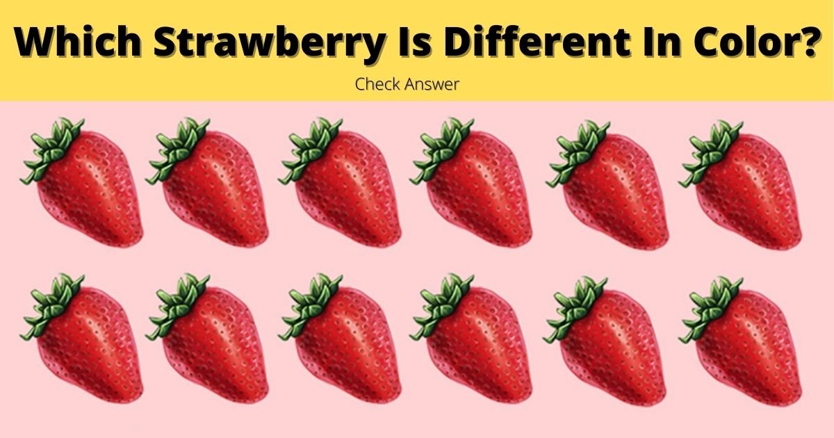 cover 8.jpg?fit=1024%2C538&ssl=1&strip=all - Can You Spot Which Strawberry Is DIFFERENT From The Rest?