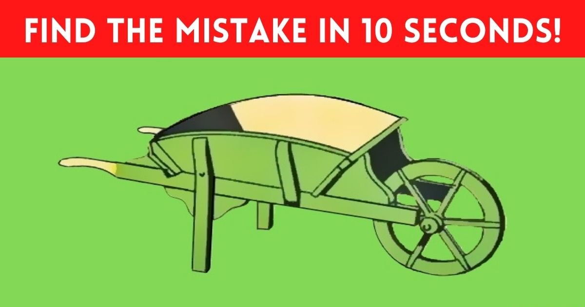 find the mistake in 10 seconds 1.jpg?resize=1200,630 - 90% Of Viewers Couldn’t Spot The Mistake In This Picture Of A Wheelbarrow - But Can You?