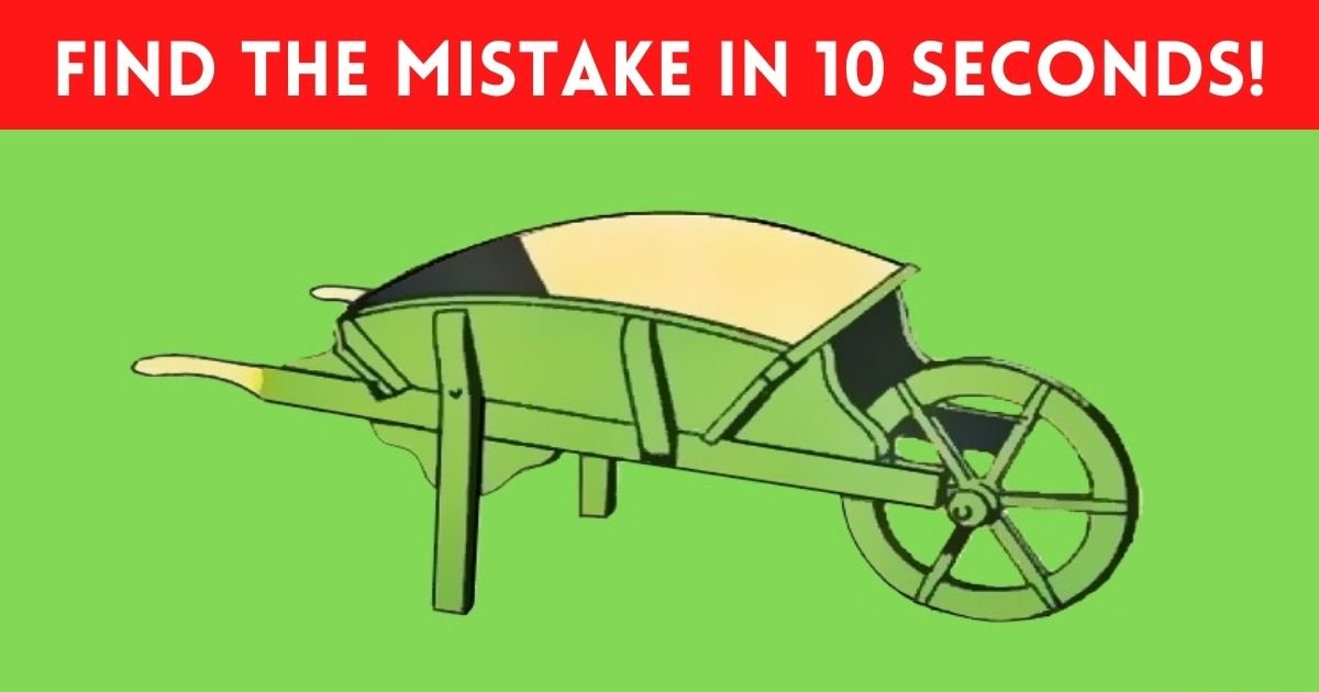 find the mistake in 10 seconds 1.jpg?resize=412,275 - 90% Of Viewers Couldn’t Spot The Mistake In This Picture Of A Wheelbarrow - But Can You?