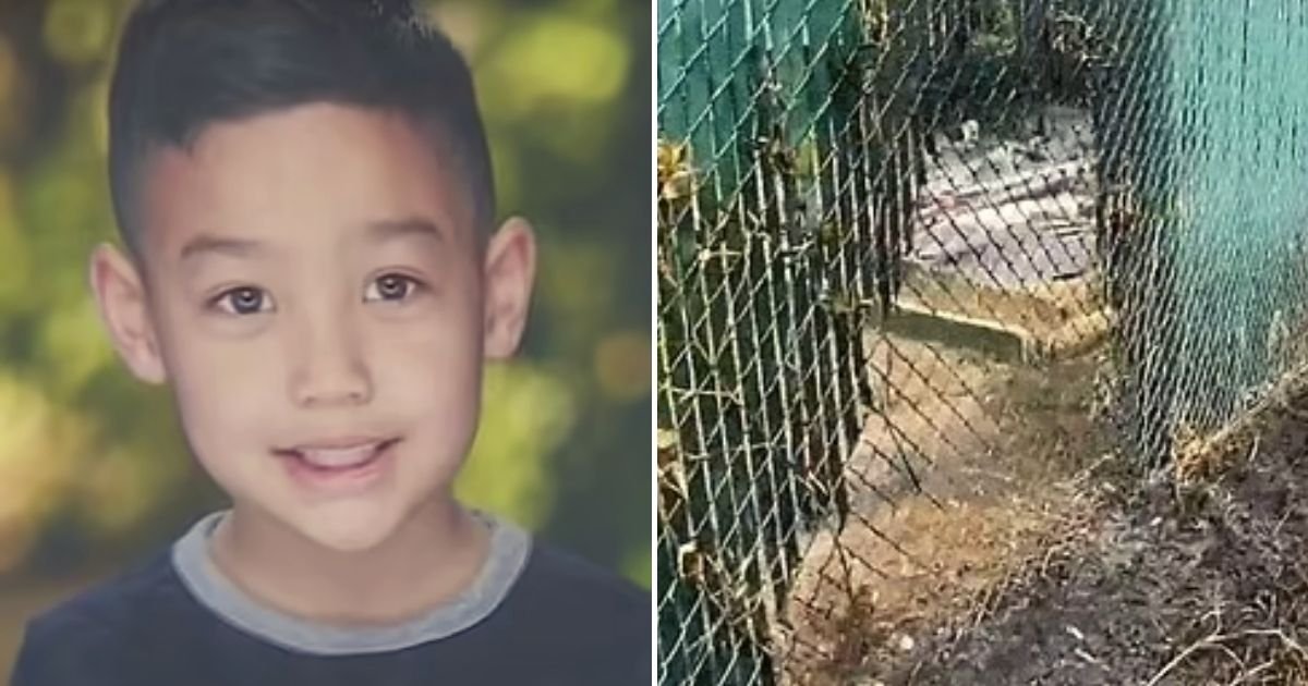 kaisen6.jpg?fit=1024%2C538&ssl=1&strip=all - 7-Year-Old Boy Tragically Died While Playing With His Friend In The Backyard