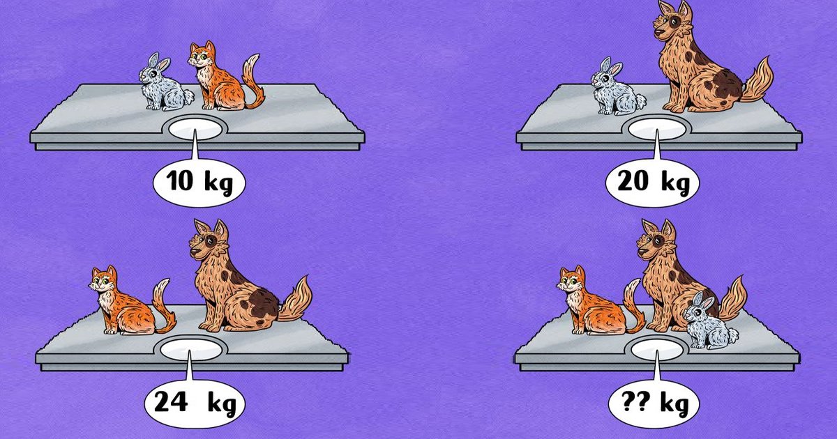 q6 20.jpg?resize=412,275 - Can You Crack The Code And Figure Out The Total Weight Shown In The Last Image?