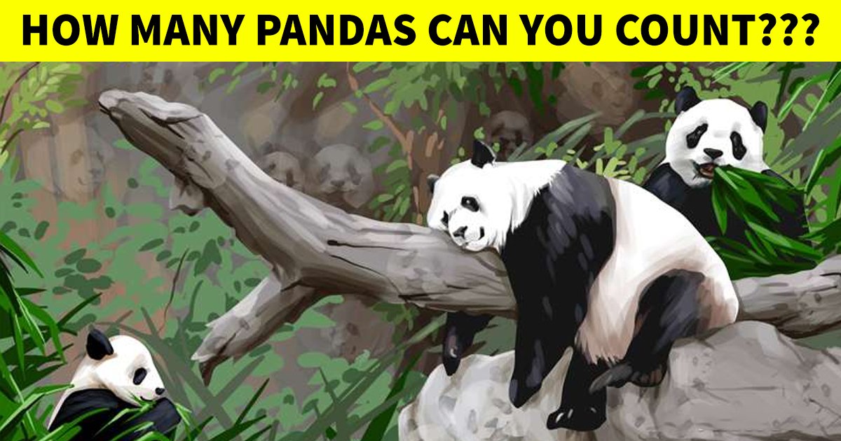q6 22.jpg?resize=1200,630 - Tricky Challenge: Can You Spot The Correct Number Of Pandas?