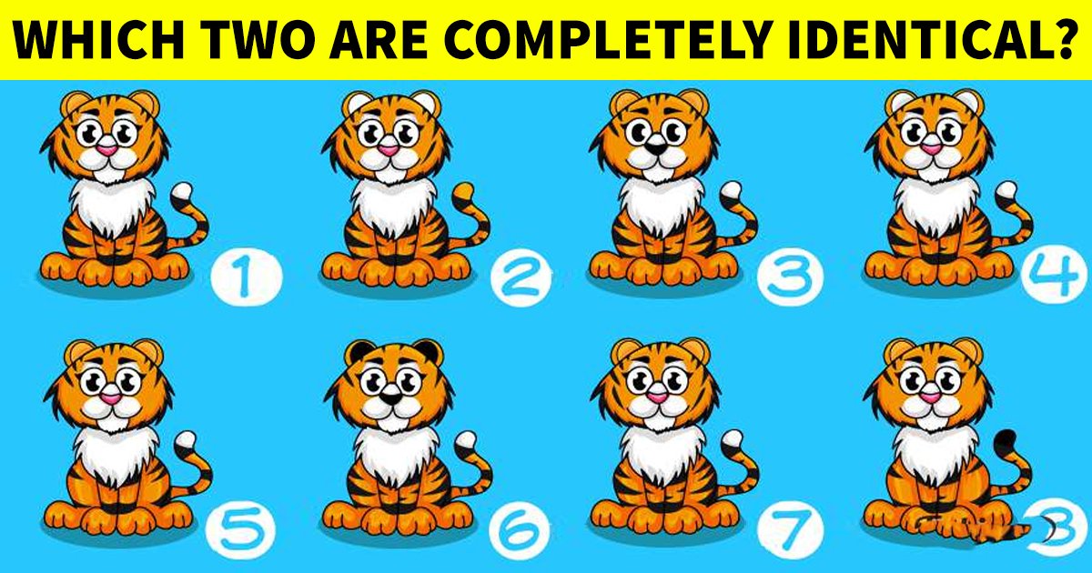 q6 24.jpg?resize=1200,630 - How Fast Can You Spot The Two Identical Images?