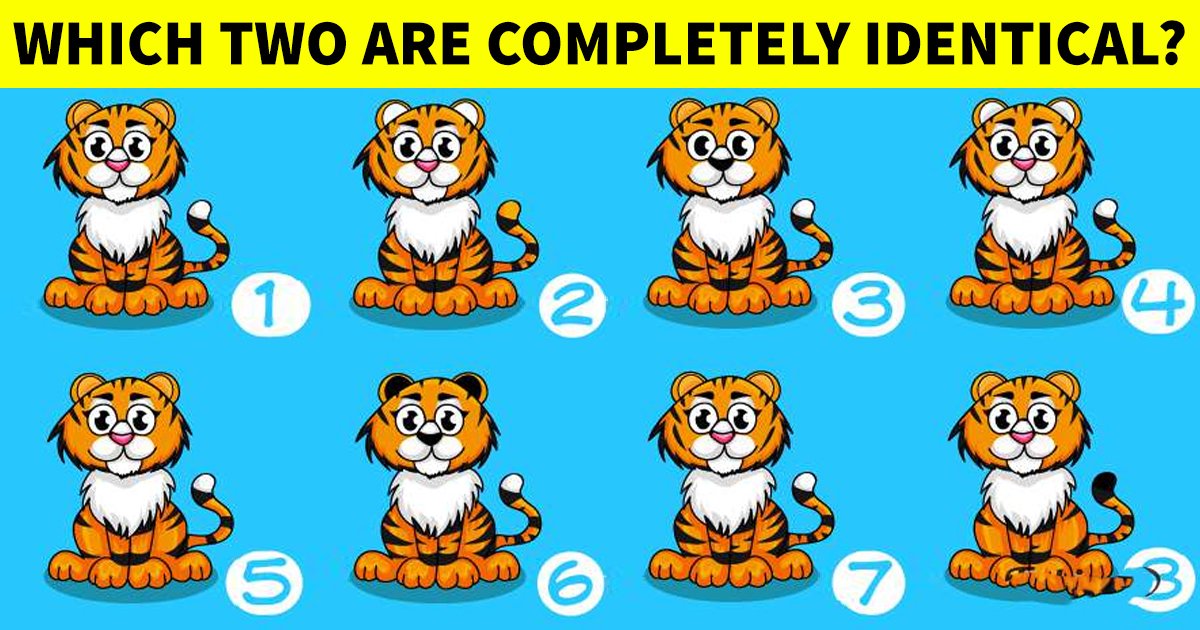 q6 24.jpg?resize=412,232 - How Fast Can You Spot The Two Identical Images?