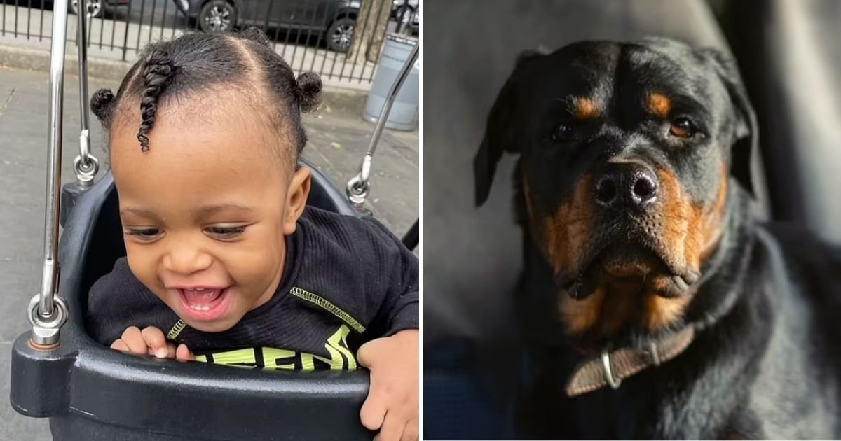 ryan4.jpg?fit=1024%2C538&ssl=1&strip=all - 19-Month-Old Toddler Mauled To Death By His Father's Dog While Being Looked After By Two Young Siblings