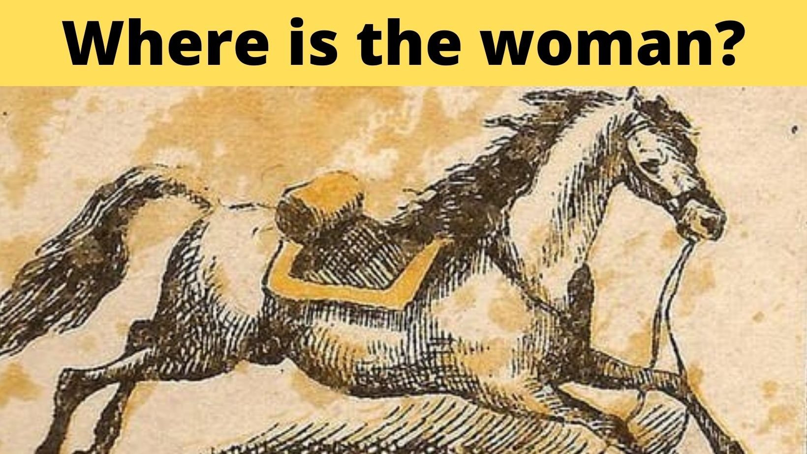 small joys thumbnail 2.jpg?fit=1024%2C577&ssl=1&strip=all - Optical Illusion: The Lady Rider Fell Off The Horse! But Where Is She?!