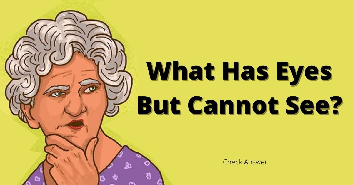 smalljoys 11.jpg?fit=1024%2C538&ssl=1&strip=all - TRICKY RIDDLE: What Has An Eye But Cannot See?