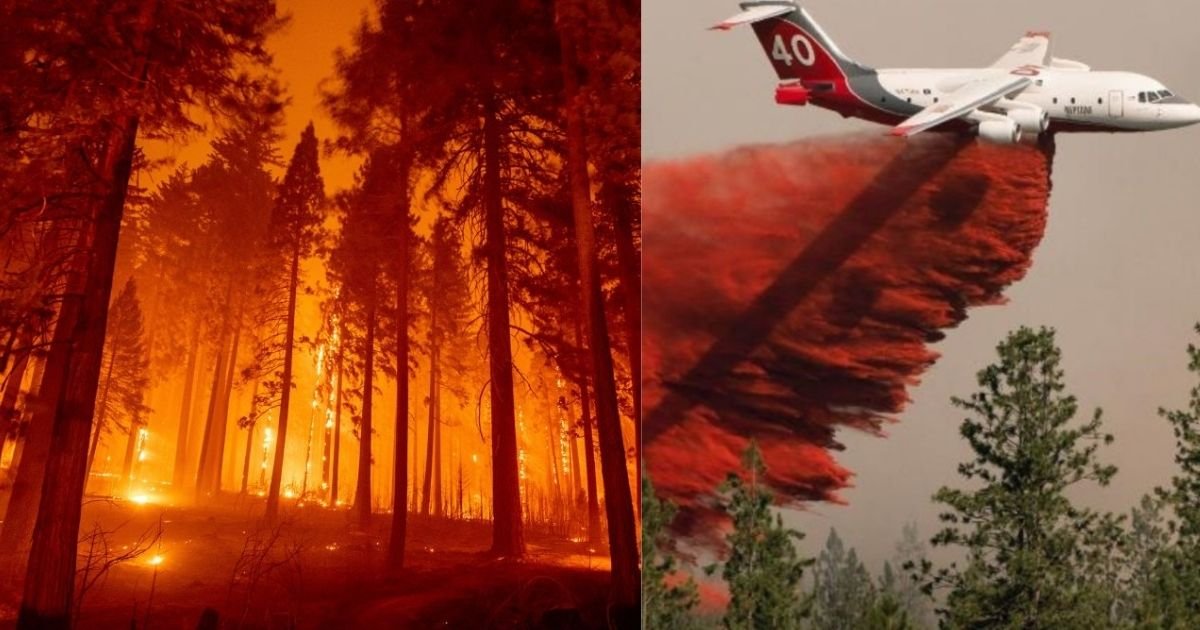 smalljoys 30.jpg?resize=412,232 - Caldor Wildfire Grows 24 Times It’s Size, Forcing Thousands Of People To Evacuate