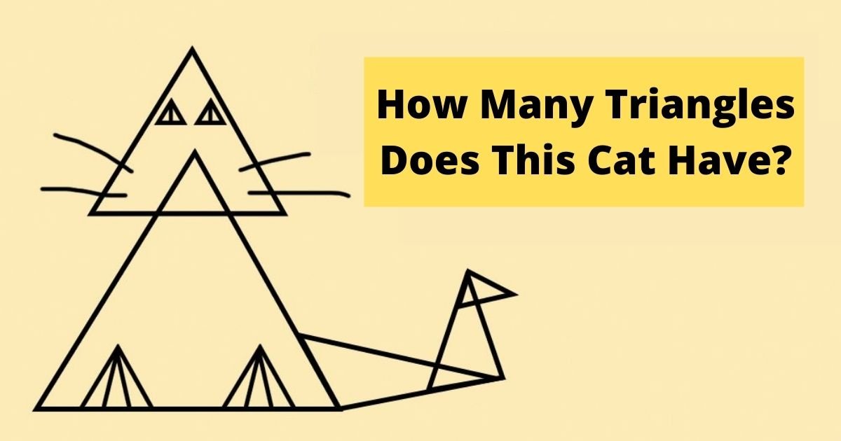 smalljoys 8.jpg?resize=412,275 - Can You Guess The CORRECT NUMBER Of Triangles In The Photo?