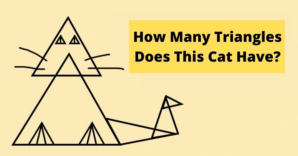 smalljoys 8.jpg?resize=412,232 - Can You Guess The CORRECT NUMBER Of Triangles In The Photo?
