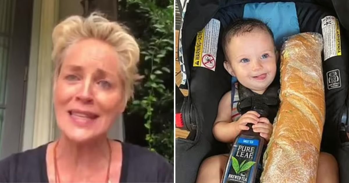 stone4.jpg?resize=412,275 - Sharon Stone Reveals Her 11-Month-Old Nephew Has Passed Away Days After He Was Found In His Crib With Organ Failure