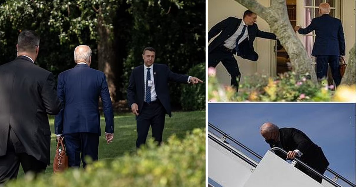 t1 83.jpg?resize=412,275 - "Where Are You Going Joe?"- Confused Biden Ignores Secret Service Agent's Directions & Walks Strangely Onto Lawn